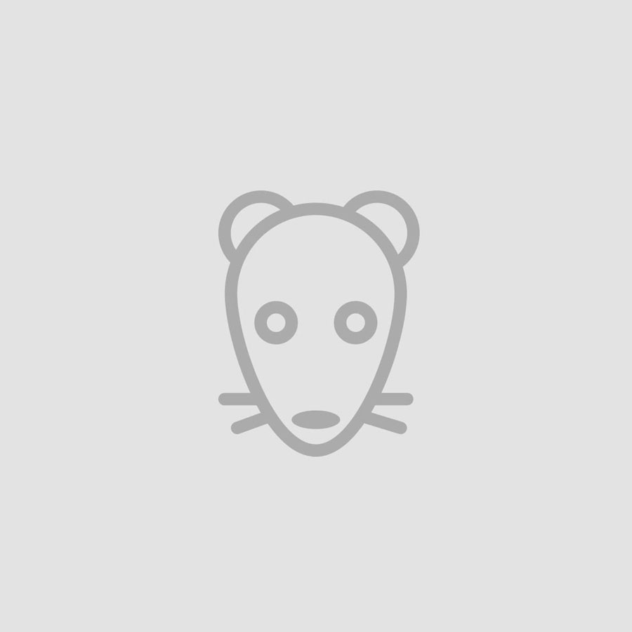 Vienaragis (aplikacija) su vardu